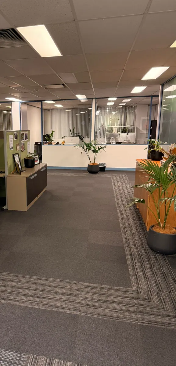 Office walkway with banded carpet leading to a reception area with plants